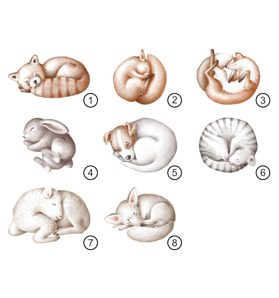 Savasana Expertin / Baby Bio-Kurzarm-Body